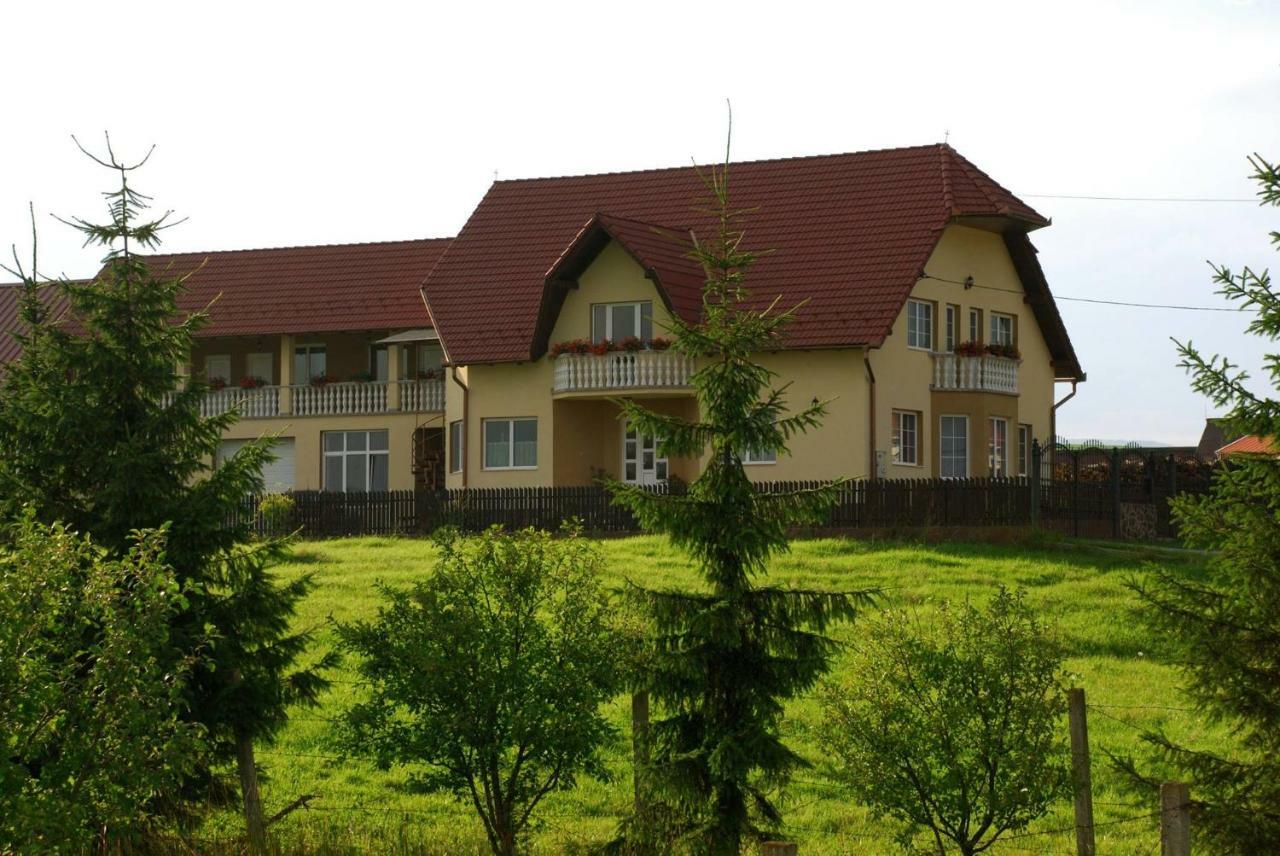 Margareta Vendeghaz Hotel Lupeni  Exterior foto